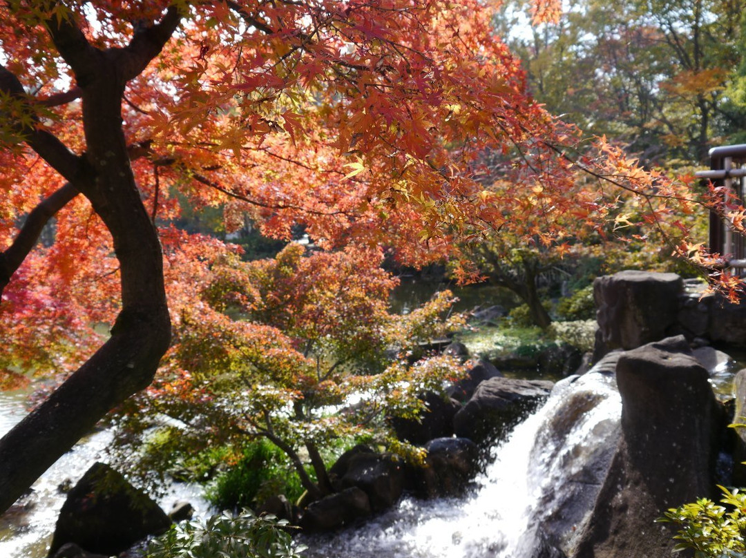 Fuchunomori Park景点图片