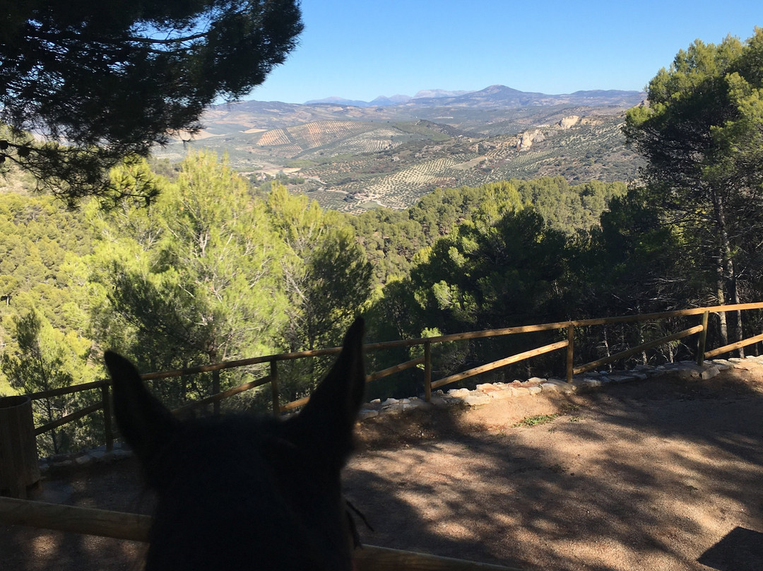 La Posada de Colomera主图