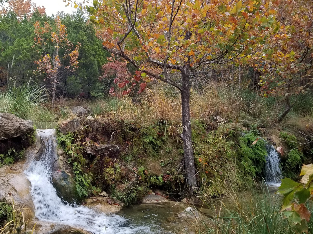 Colorado Bend State Park景点图片