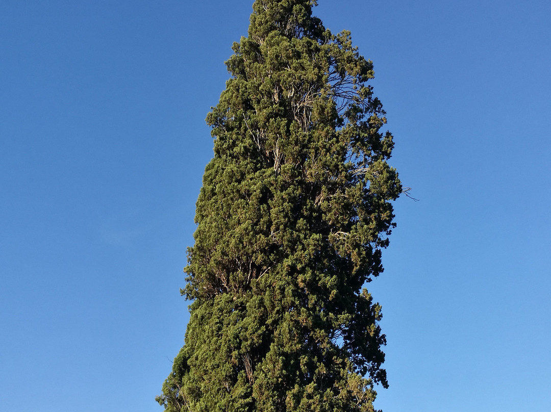 Convento de la Anunciada景点图片