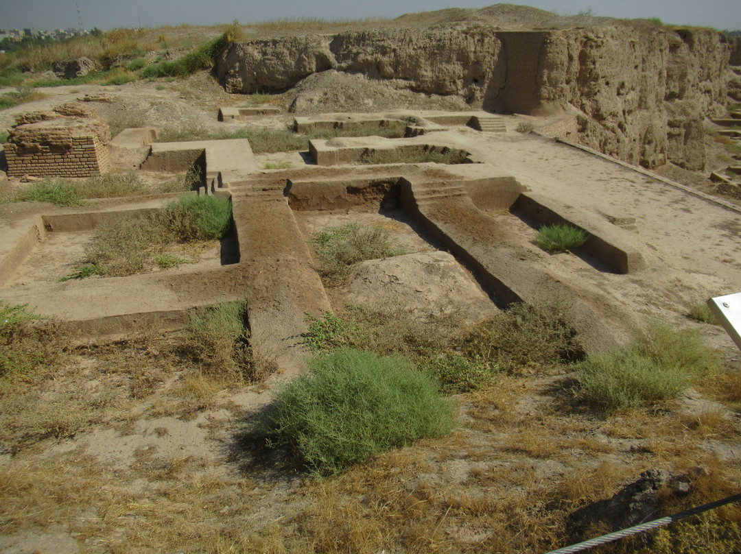Apadana Castle Shush景点图片