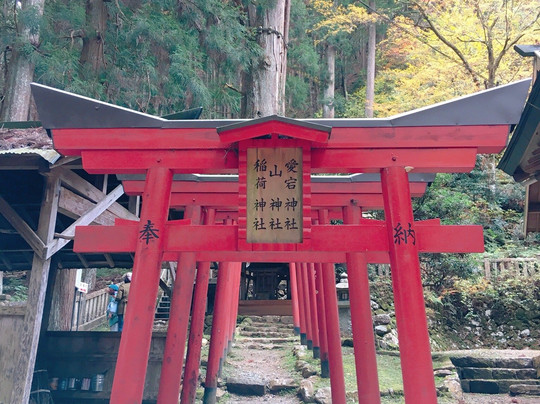 Aotama Shrine-多可町必去景点