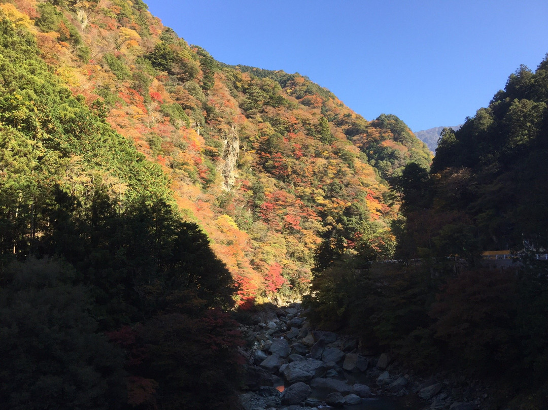 Mt. Ishizuchi Ropeway景点图片