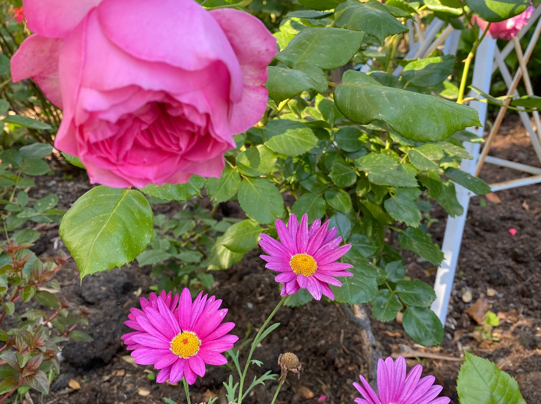 Litchfield Lodge Bed & Breakfast主图