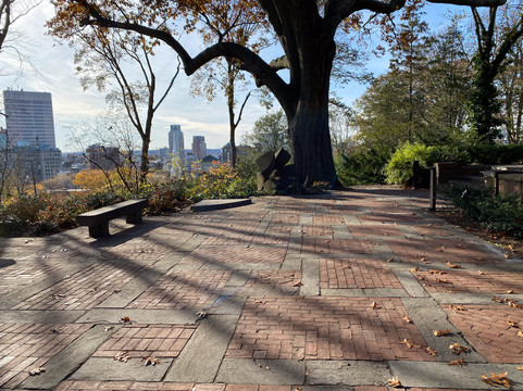 Woods-Gerry Gallery-普罗维登斯必去景点