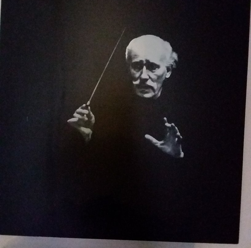 Museo Casa Natale Arturo Toscanini景点图片