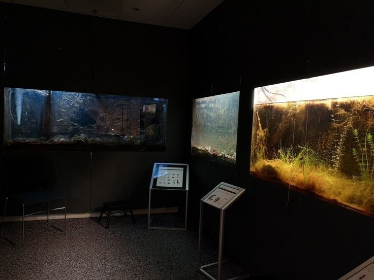 Natural History Museum of Kopavogur-科帕伏古必去景点