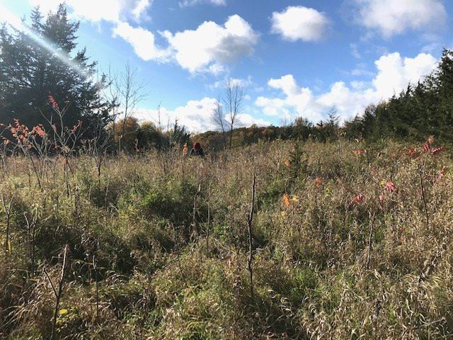 Baker Park Reserve-Maple Plain必去景点