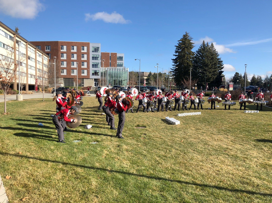 Washington State University景点图片