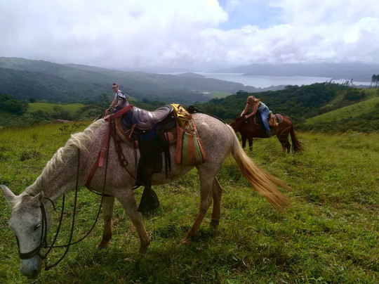 Tokpela-Piedras必去景点