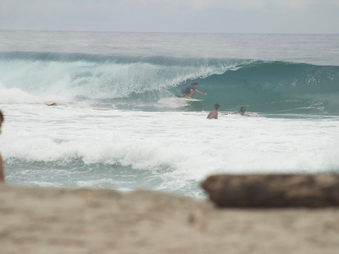 All Good Surf景点图片