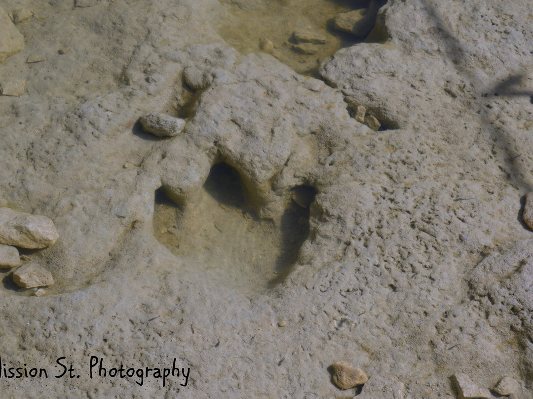 Glen Rose Convention & Visitors Bureau-Glen Rose必去景点