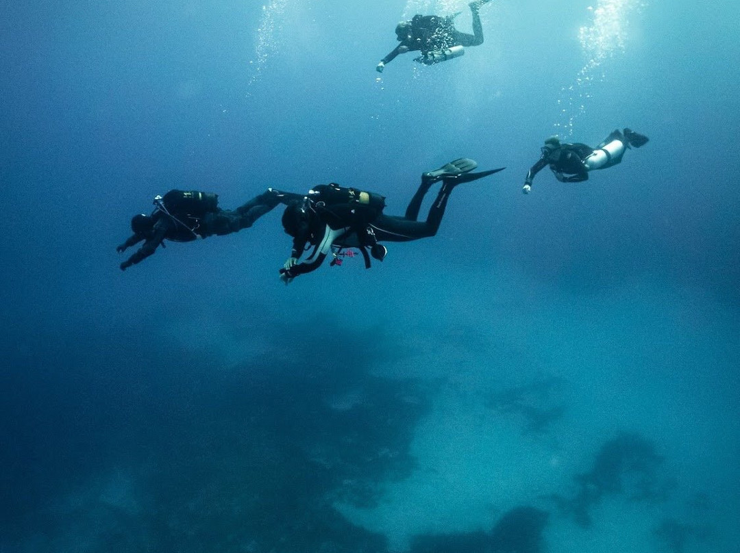 Mocean Images-Xlendi必去景点