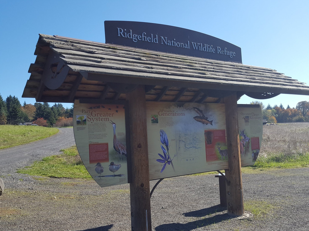 Ridgefield National Wildlife Refuge景点图片