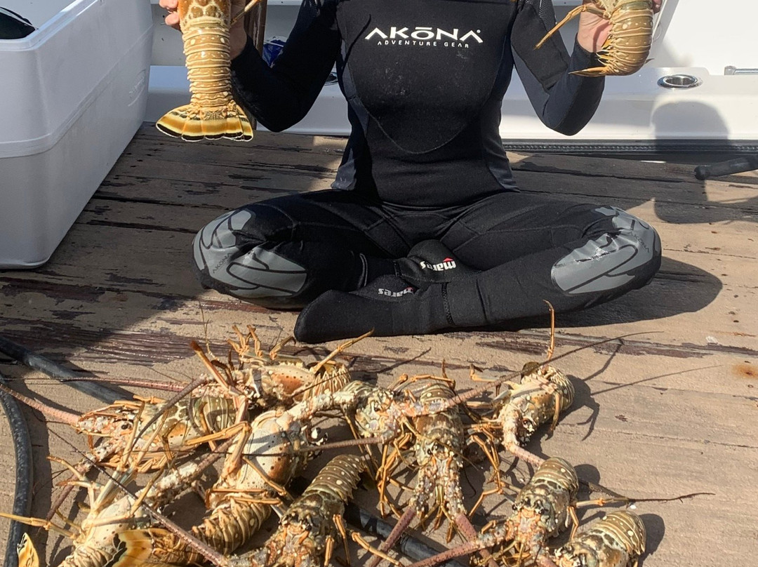 Spear It Key West-基韦斯特必去景点