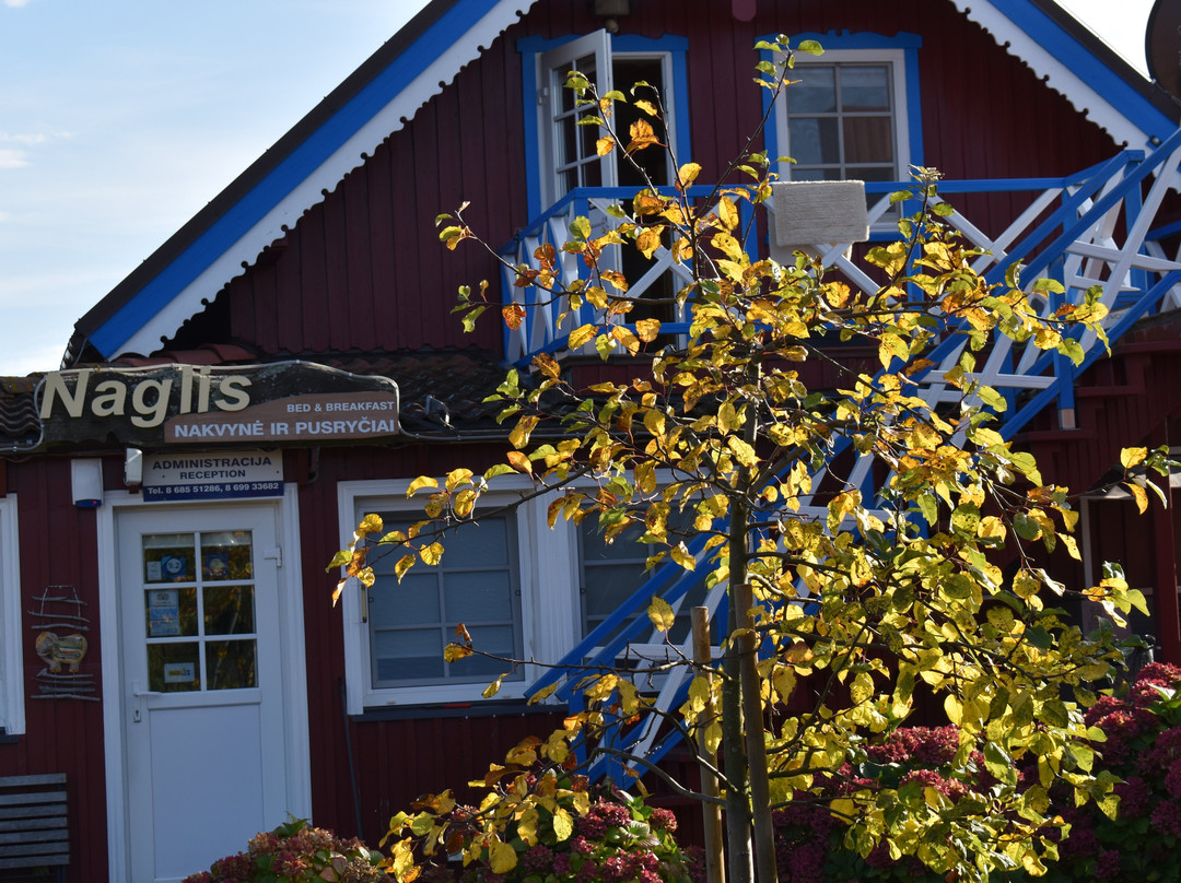 Ferienhaus Naglis主图