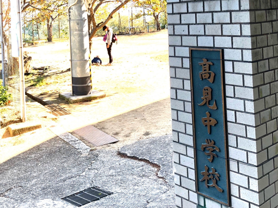 Takami Island景点图片