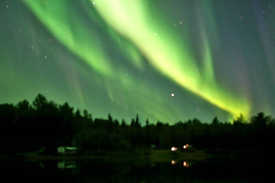 Howling Bay Kennel-费尔班克斯必去景点