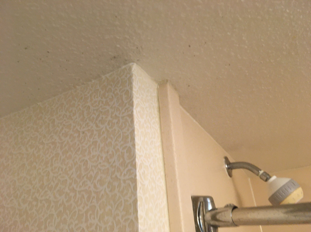 米尔皮塔斯汉普顿酒店主图