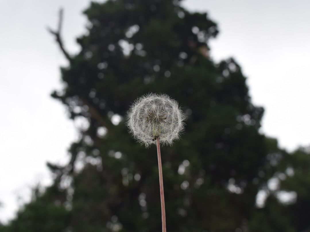 Bukit Kubu Hotel主图
