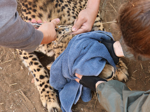 Modgaji Conservation Projects-伐拉博瓦必去景点