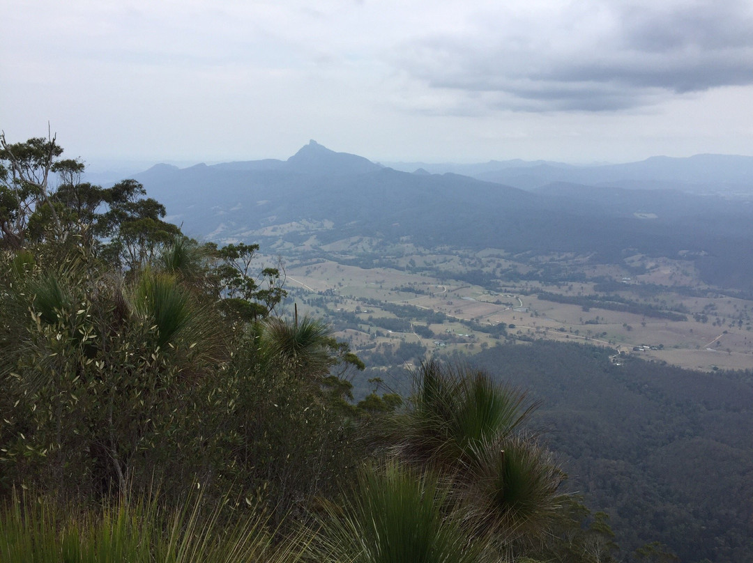 Border Ranges National Park景点图片