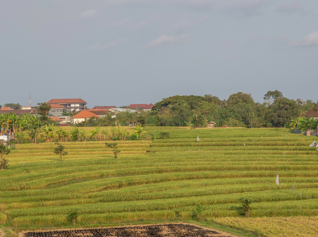 Padi Padi Canggu Luxury Room主图