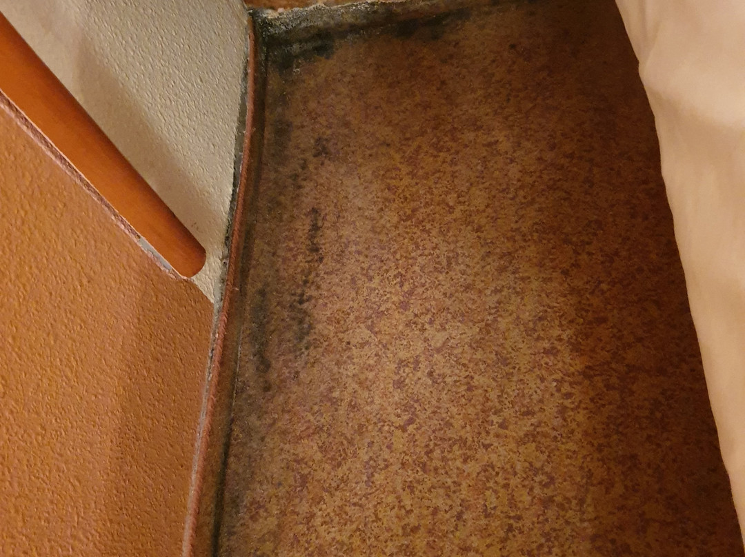 Hotel Iris Guadalajara主图