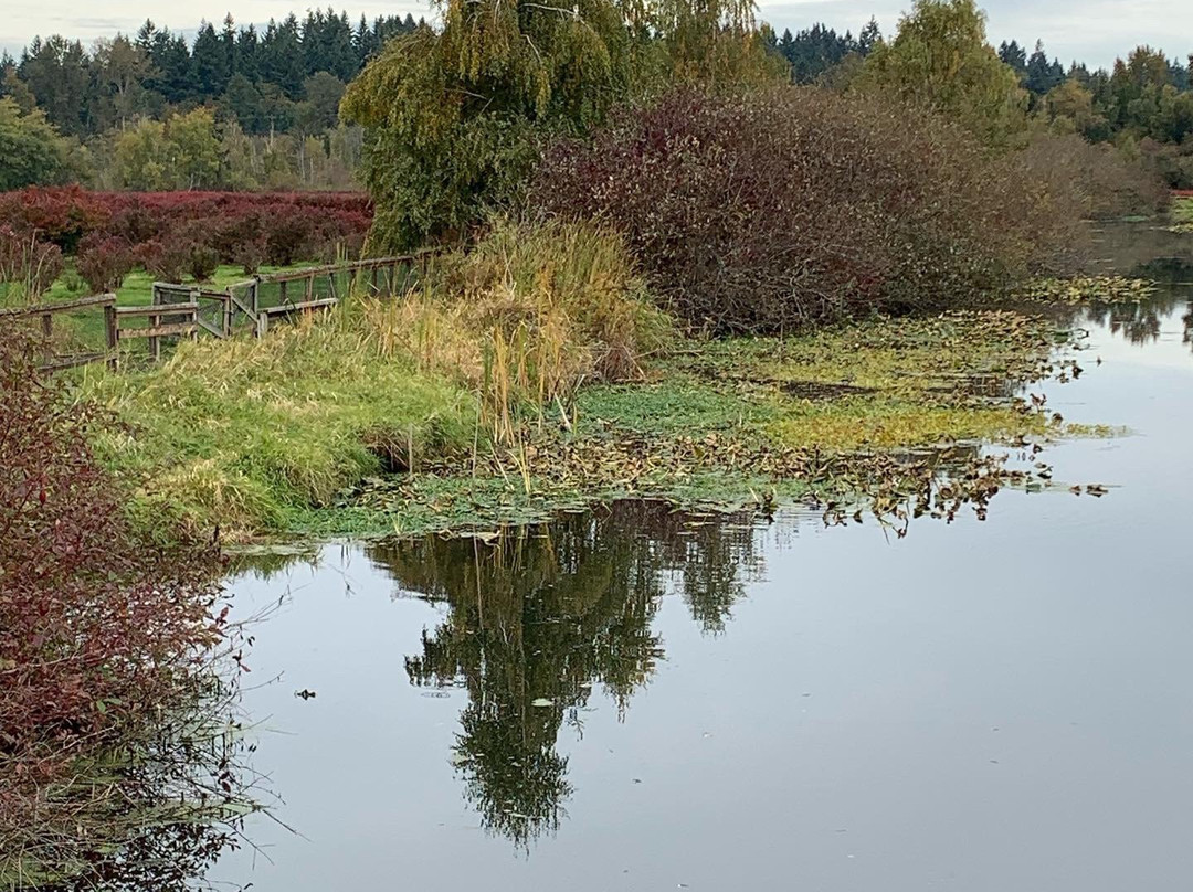 Mercer Slough Nature Park景点图片