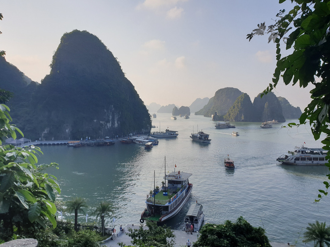 Alova Premium Cruises-团洲岛必去景点
