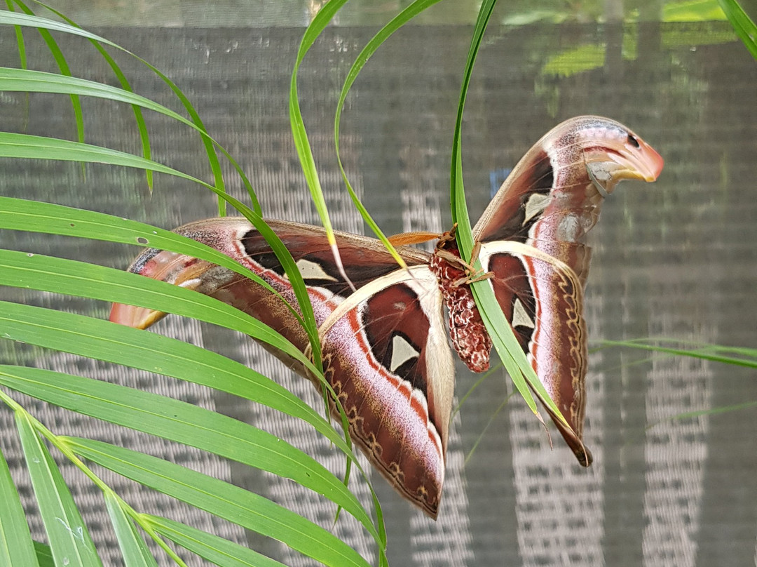 Private Guide in Chiang Mai-清迈必去景点