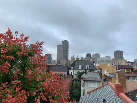 奥利维尔家酒店主图