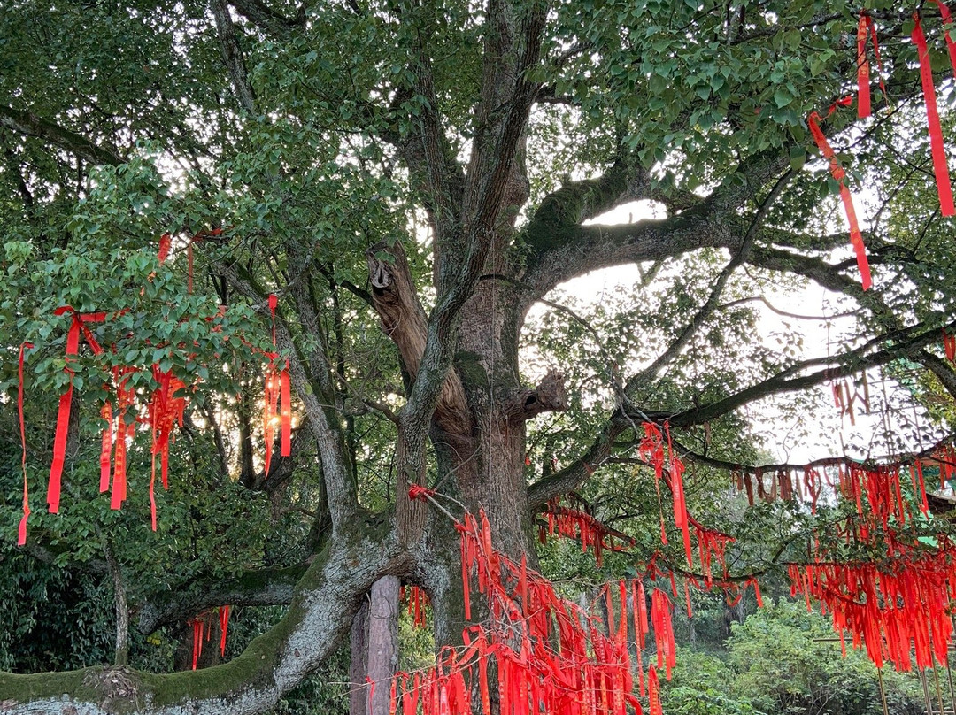 黄山唐模景区景点图片