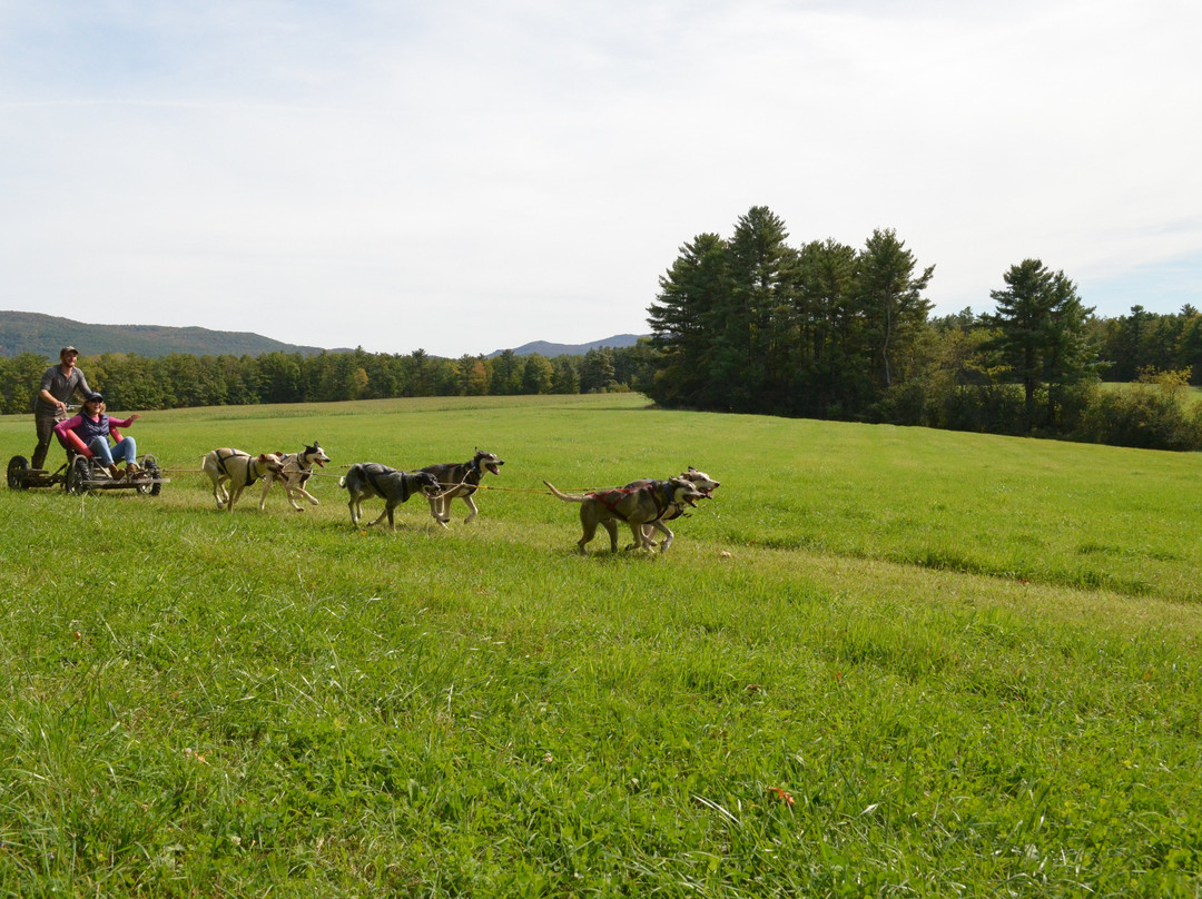 Cobble Hill Kennel-Middlebury必去景点