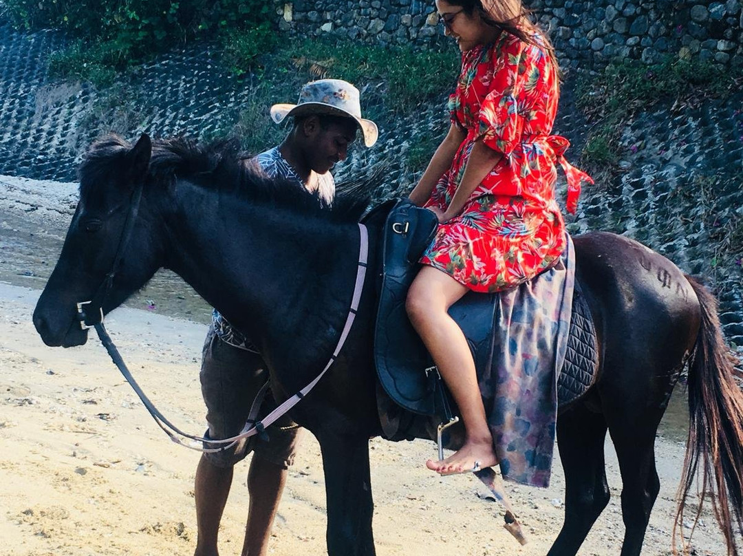 Maui Bay Horse Riding Adventure-苏瓦必去景点