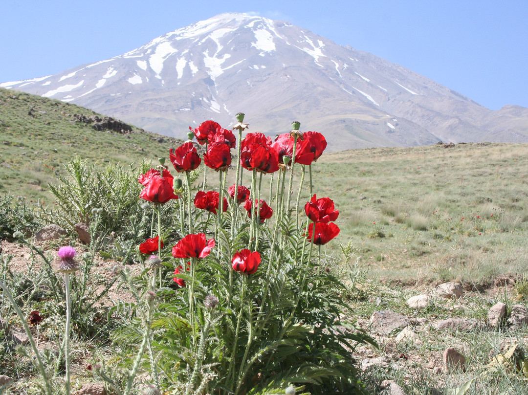 Mount Damavand