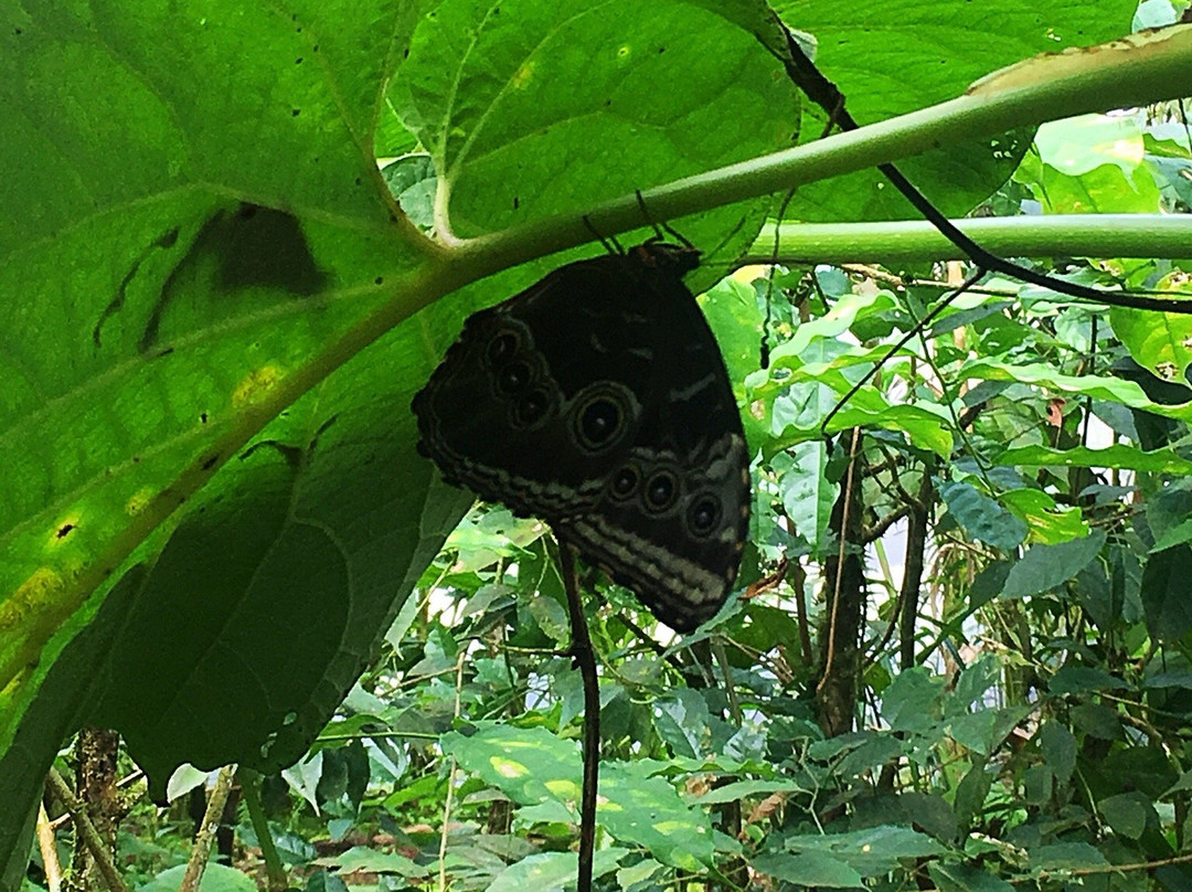 Parque Aventura San Luis-圣拉蒙必去景点
