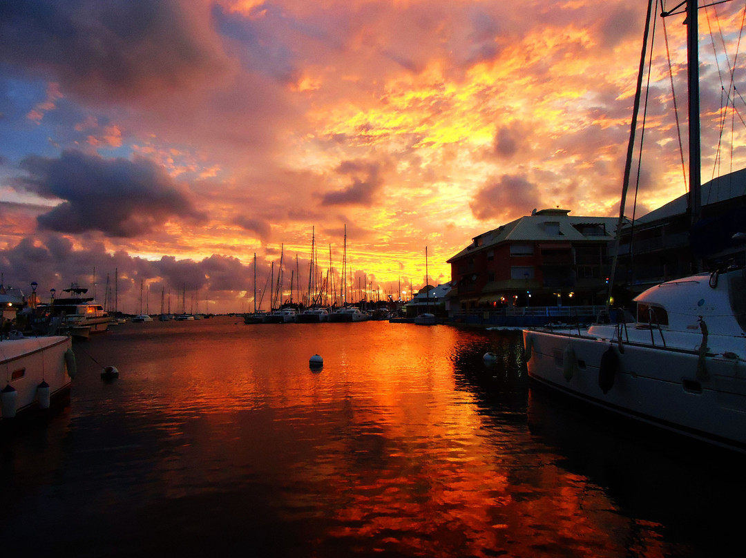 Marina Port La Royale景点图片