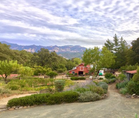 Meadowlark Country House & Resort-酒店景观