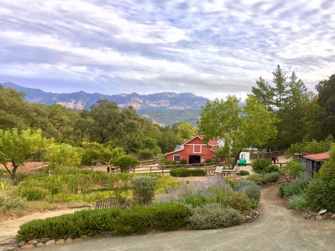 Meadowlark Country House & Resort主图