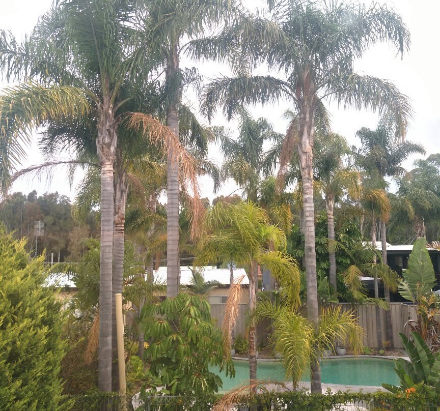 阿拉鲁恩汽车小屋主图