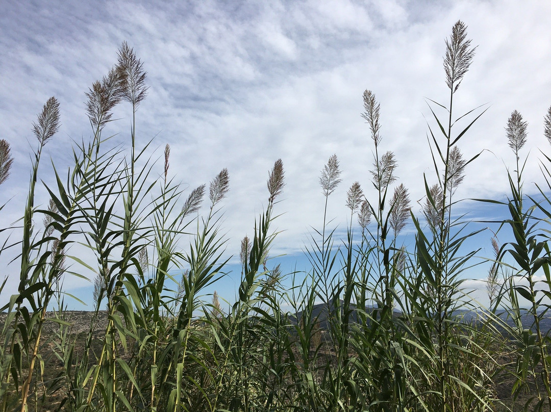 Sierra de Bernia y Ferrer景点图片