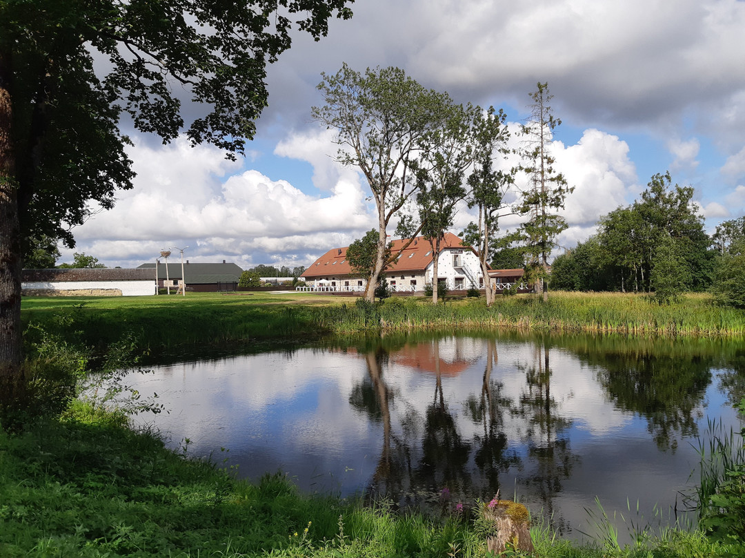 Üksik Rüütel主图