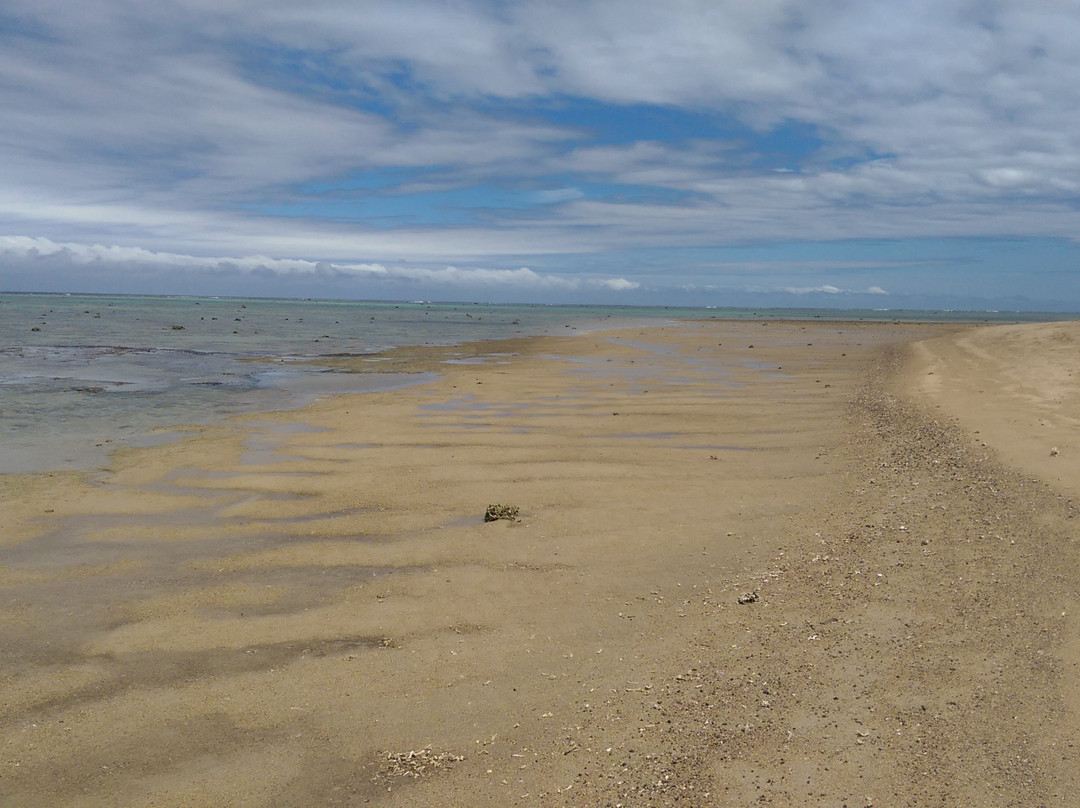 茂宜岛棕榈酒店主图