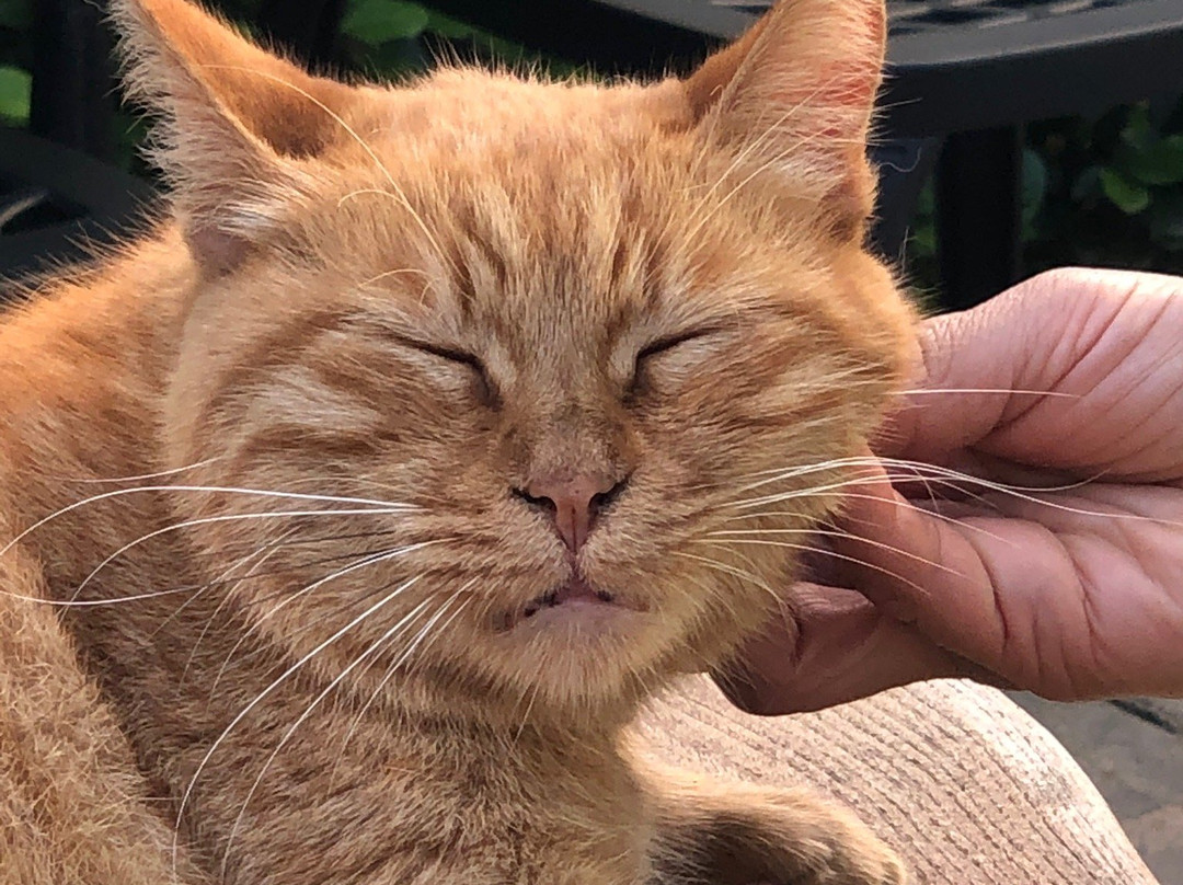 Tuzla Garden Hotel & Spa主图