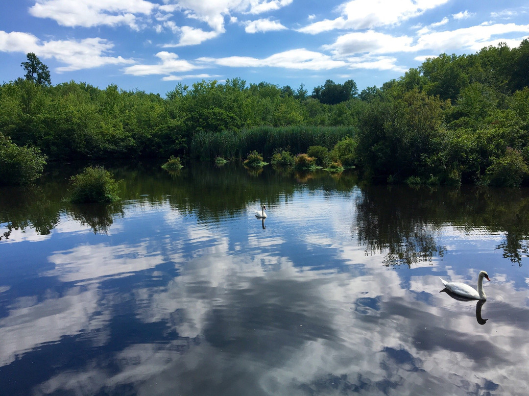 Locust Valley旅游景点-Shu Swamp Preserve - Charles T Church Nature Preserve