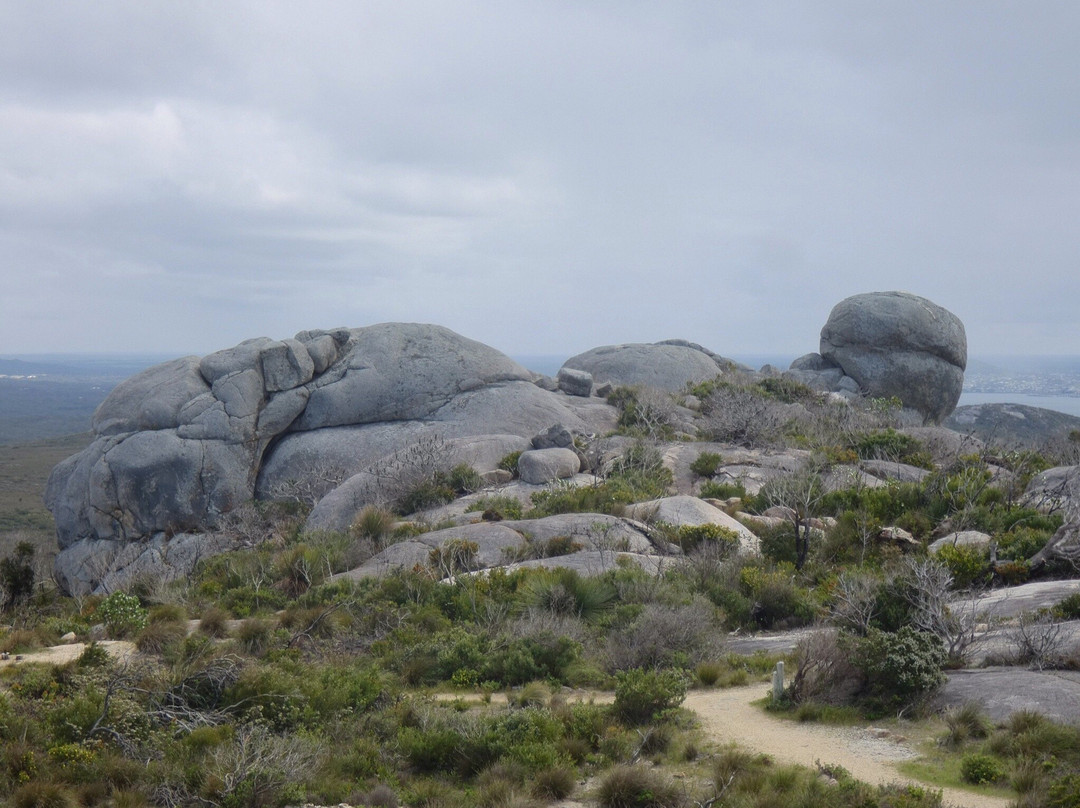 Stony Hill & Peak Head-奥尔巴尼必去景点