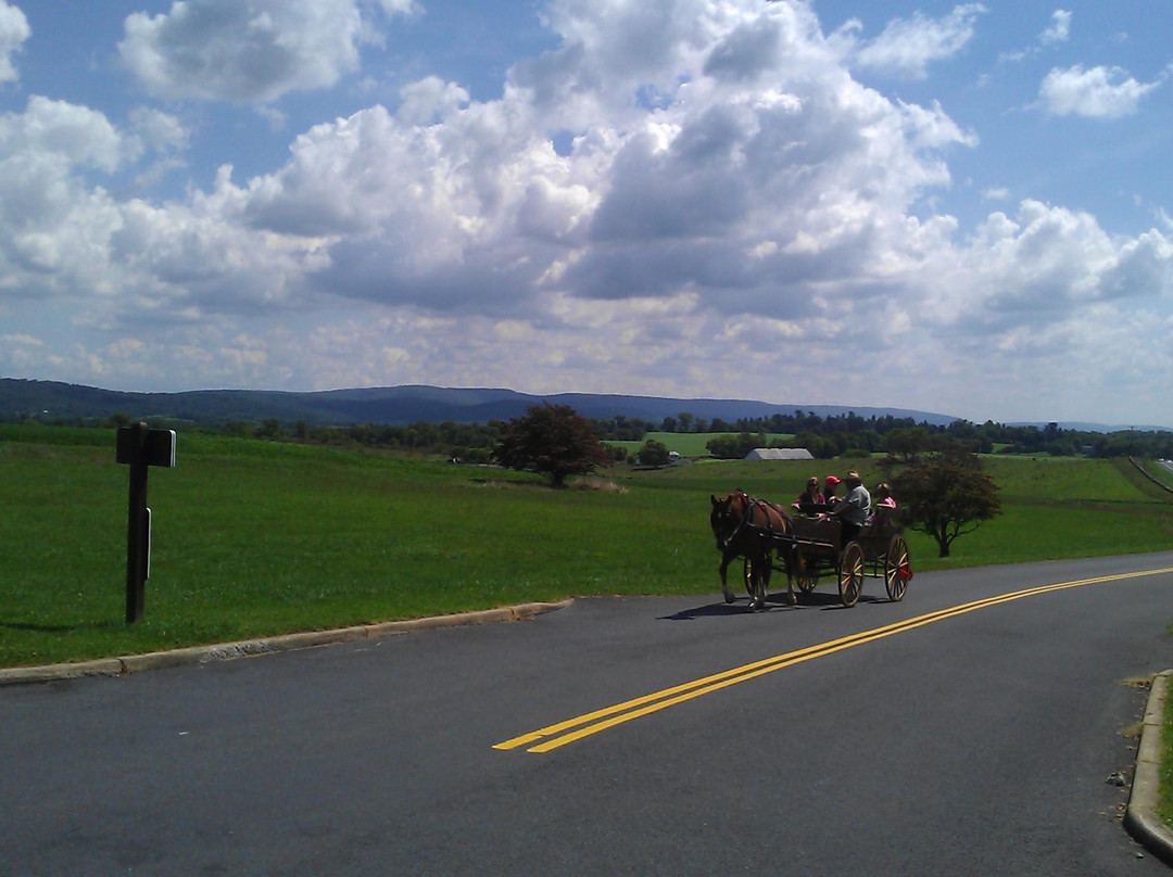 Bonnymeed Farm - Antietam Horse & Carriage Guided Tours景点图片