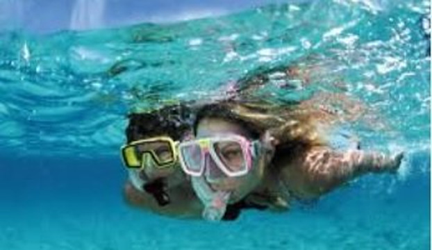 Snorkel Tarpon Springs-塔彭斯普林斯必去景点