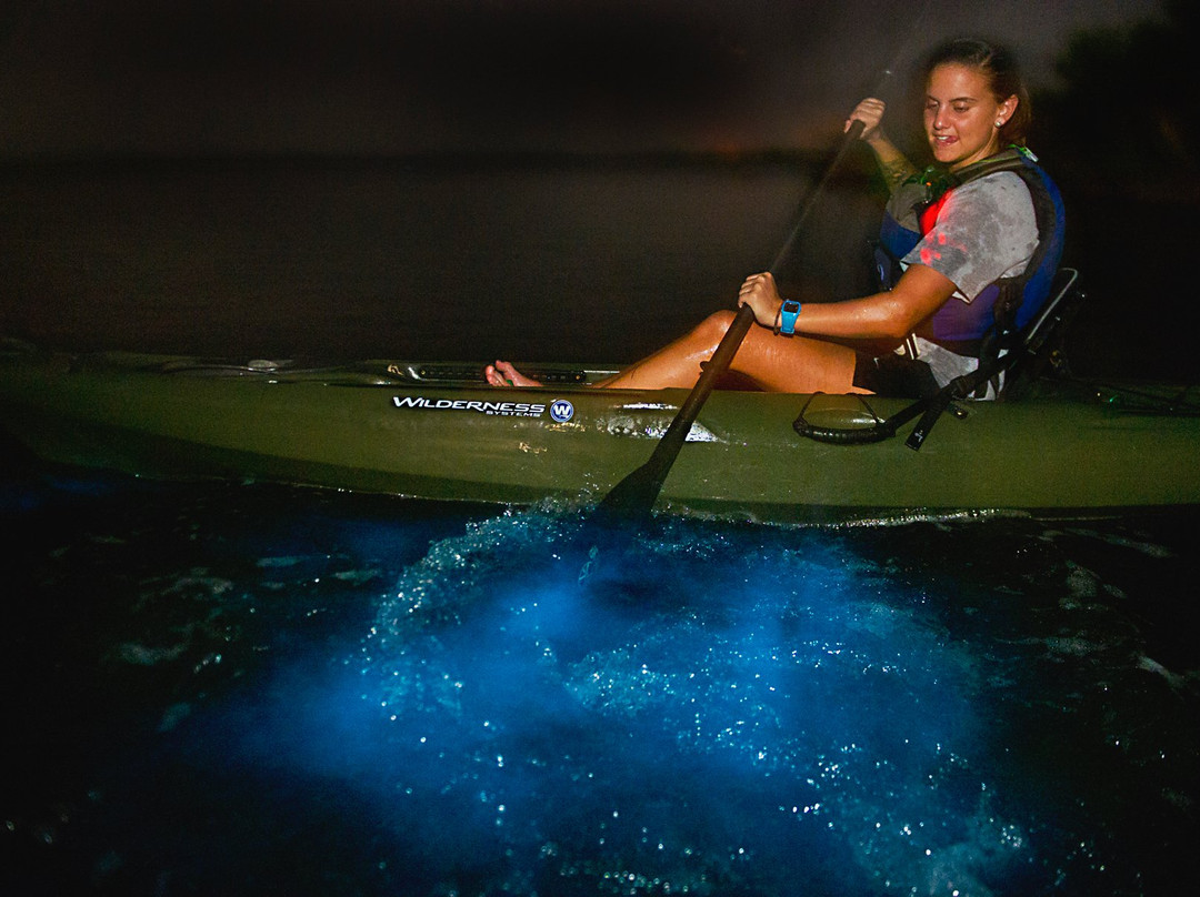 A Day Away Kayak Tours景点图片